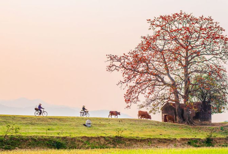 Thẩm định giá uy tín valu tại Bắc Ninh