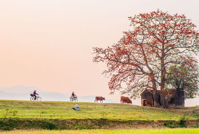 Thẩm định giá uy tín valu tại Bắc Ninh